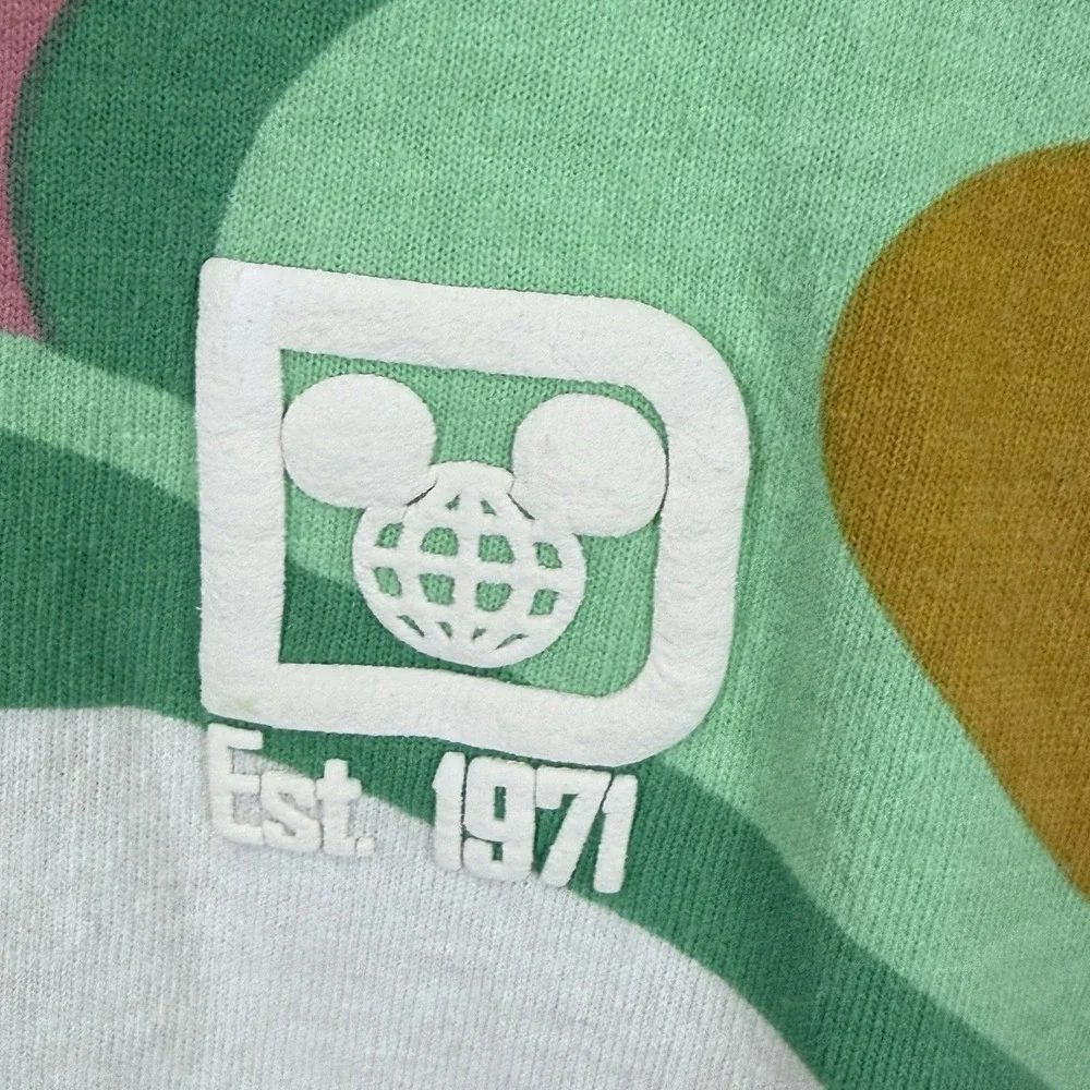 Disney world spirit